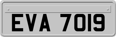 EVA7019