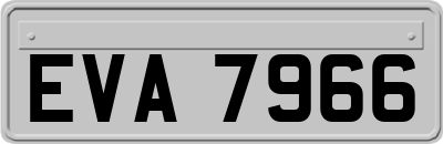EVA7966