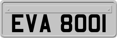 EVA8001