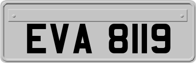 EVA8119