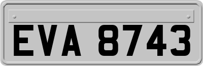 EVA8743