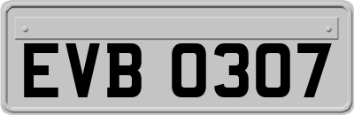 EVB0307