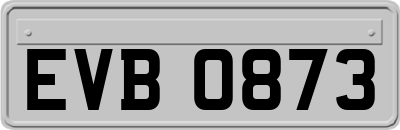 EVB0873