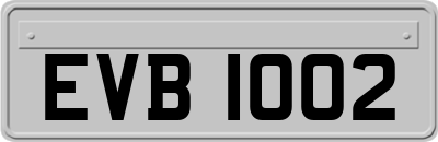 EVB1002
