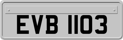 EVB1103