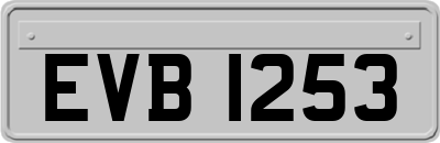EVB1253