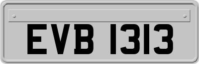 EVB1313