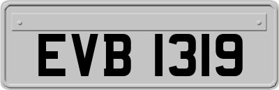 EVB1319