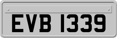 EVB1339