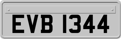EVB1344