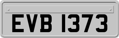 EVB1373