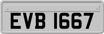EVB1667