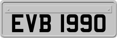 EVB1990