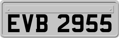 EVB2955