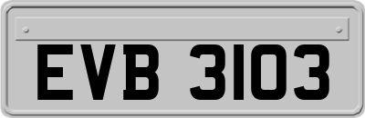 EVB3103