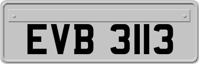 EVB3113