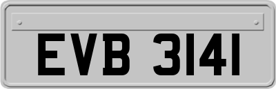 EVB3141