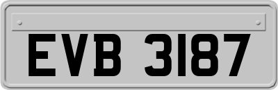 EVB3187