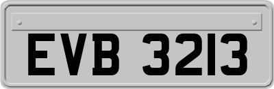 EVB3213