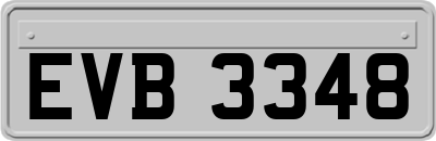 EVB3348