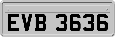 EVB3636