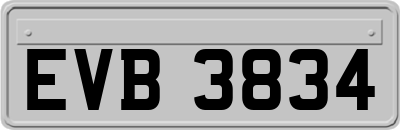 EVB3834
