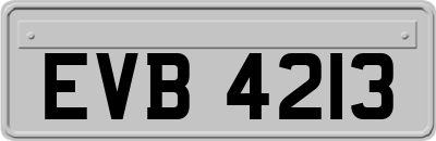 EVB4213
