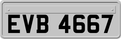 EVB4667