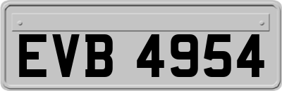 EVB4954