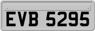 EVB5295