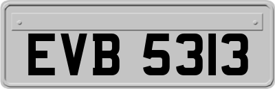 EVB5313