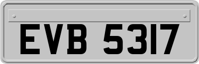 EVB5317