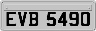 EVB5490