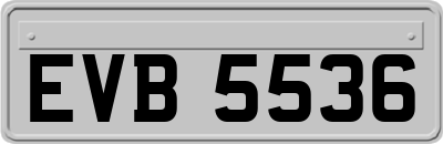 EVB5536