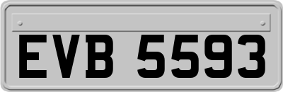 EVB5593