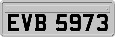 EVB5973