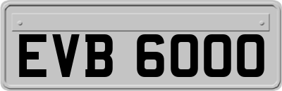 EVB6000