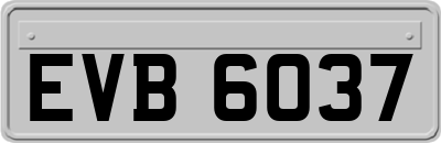 EVB6037