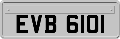 EVB6101
