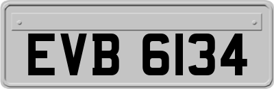 EVB6134