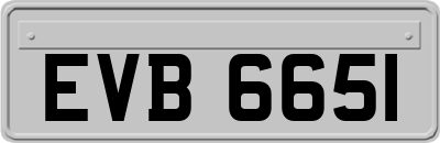 EVB6651
