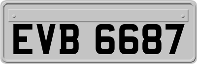 EVB6687