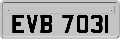 EVB7031