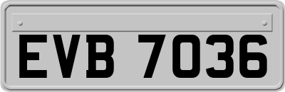 EVB7036