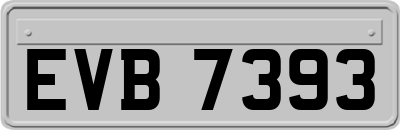 EVB7393