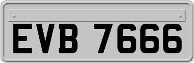EVB7666
