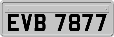 EVB7877