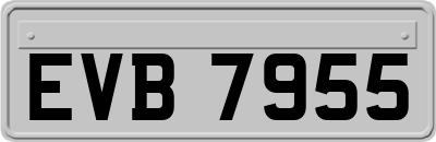 EVB7955