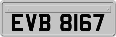 EVB8167