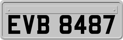 EVB8487